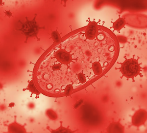 Microscopic view of rabies