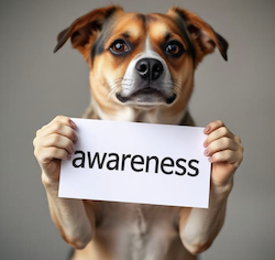 A dog holding up a sign that reads "awareness"